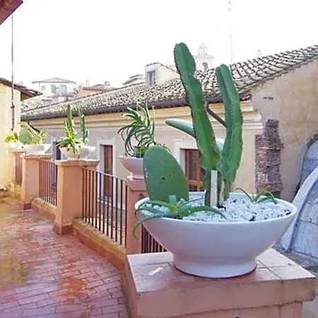 Natural Pantheon Terrace *